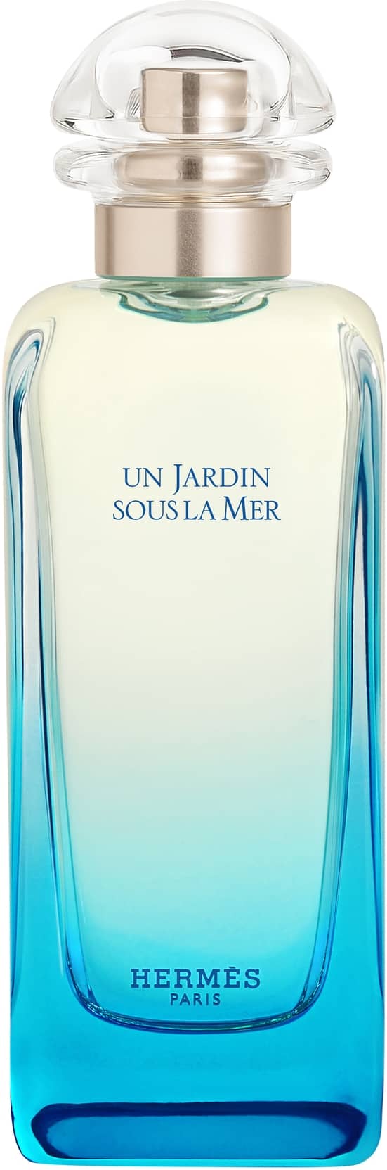 HERMÈS Un Jardin Sous la Mer